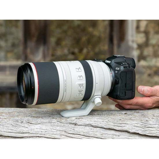 Canon RF 100-500mm f4.5-7.1L IS USM  RF100-500mm