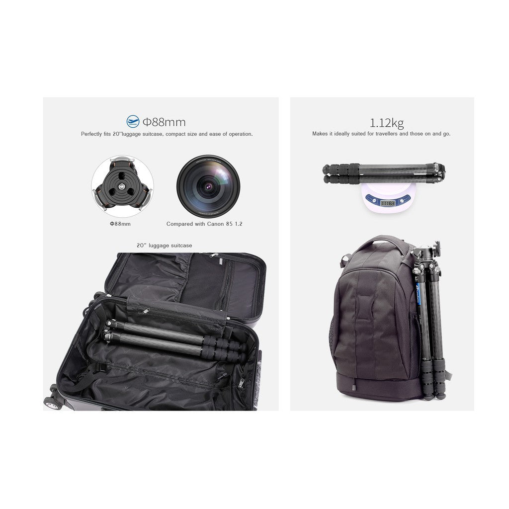 Leofoto LS-284C + LH-30 Ranger Series Carbon Fiber Tripod with LH-30 Ball Head Kit LS284C