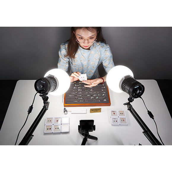 Godox Litemons LC30D LC30 Bi Tabletop LED Light Kit for content creators, vloggers