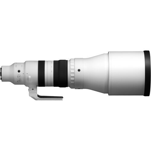 Sigma 300-600mm f4 DG OS Sports Lens (Sony E)