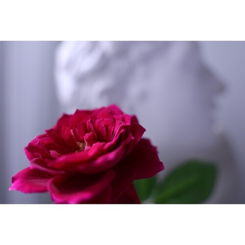 Canon RF 16-28mm f2.8 IS STM Lens (RF) rf16-28mm