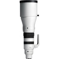 Sigma 300-600mm f4 DG OS Sports Lens (Sony E)