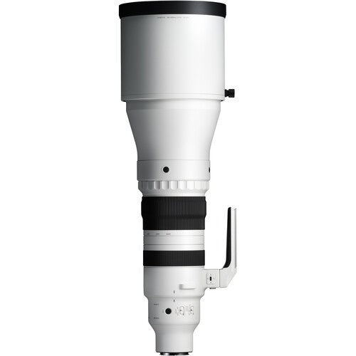 Sigma 300-600mm f4 DG OS Sports Lens (Sony E)
