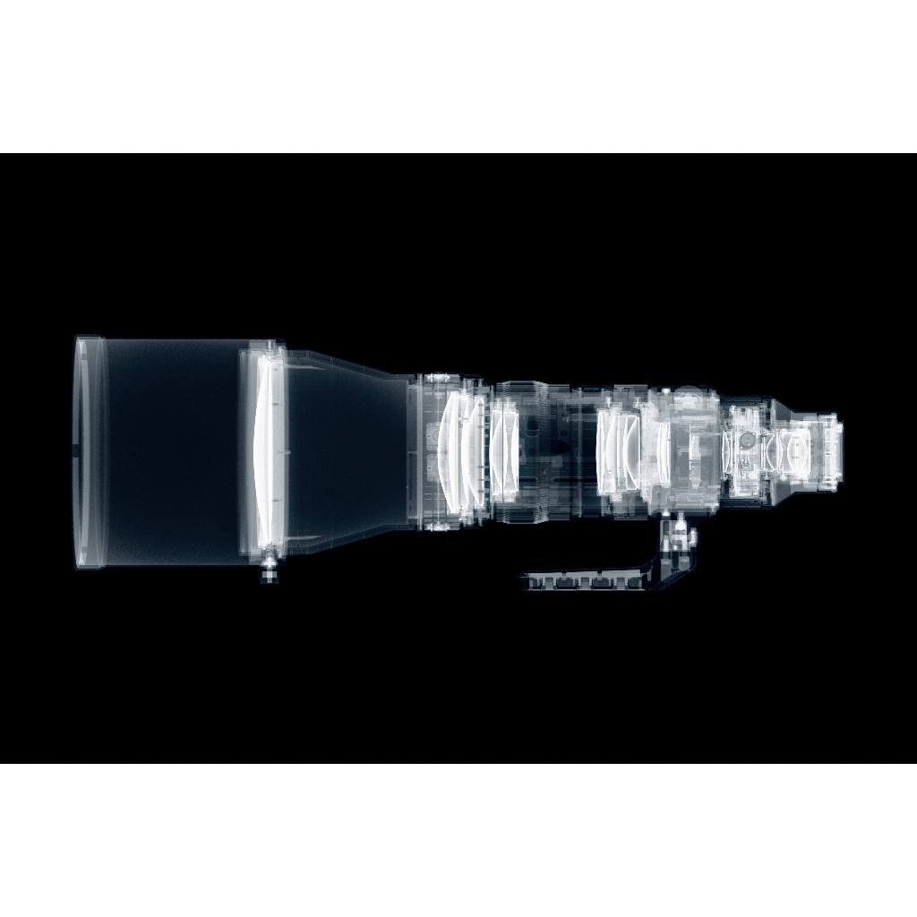 Sigma 300-600mm f4 DG OS Sports Lens (Sony E)