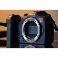 CANON EOS R7 BODY with FREE Canon Mount Adapter and Memory Card / Mirrorless Camera CANON EOS R7 BODY with FREE Canon Mount Adapter and Memory Card / Mirrorless Camera