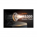 Godox MS-300 Monolight Studio Flash Light Godox MS-300 Monolight Studio Flash Light
