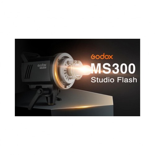 Godox MS-300 Monolight Studio Flash Light