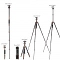 K&F Concept BA225 60”/1.5m Carbon Fiber Camera Tripod Lightweight Travel Tripod 17.6lbs Load 360° Ball Head KF09.077v3 K&F Concept BA225 60”/1.5m Carbon Fiber Camera Tripod Lightweight Travel Tripod 17.6lbs Load 360° Ball Head KF09.077v3