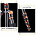 K&F Concept BA225 60”/1.5m Carbon Fiber Camera Tripod Lightweight Travel Tripod 17.6lbs Load 360° Ball Head KF09.077v3 K&F Concept BA225 60”/1.5m Carbon Fiber Camera Tripod Lightweight Travel Tripod 17.6lbs Load 360° Ball Head KF09.077v3
