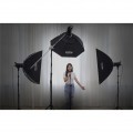 SL-100Bi Daylight LED Video Light 2800K-6500K!!! SL-100Bi Daylight LED Video Light 2800K-6500K!!!