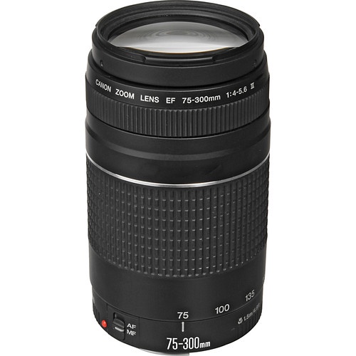 Canon-EF-75-300mm-f4-56-III-f4-56-Lens-100-Original-CANON-Warranty